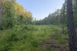 0 Old Rico Rd, Chattahoochee Hills, GA 30268 - Photo 1