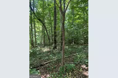 Lot 144 Lewis Drive, Lavonia, GA 30553 - Photo 2