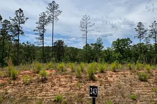 Lot 243 Spear Point Dr, Talking Rock, GA 30175 - Photo 1