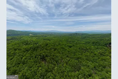 57.30 Ac Blue Arrow/Angel Creek, Mineral Bluff, GA 30559 - Photo 4