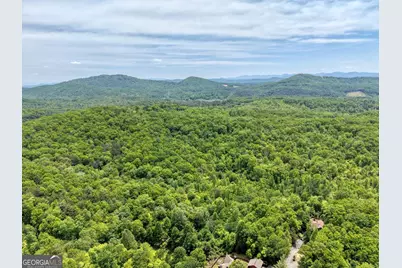 57.30 Ac Blue Arrow/Angel Creek, Mineral Bluff, GA 30559 - Photo 6