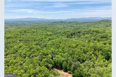 57.30 Ac Blue Arrow/Angel Creek, Mineral Bluff, GA 30559 - Photo 2