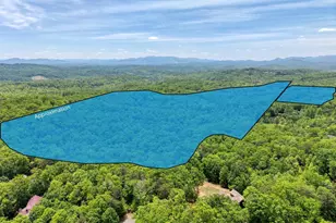 57 30 Ac Blue Arrow/Angel Creek, Mineral Bluff, GA 30559 - Photo 1