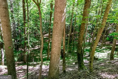 Lot 26 Estates Drive, Ellijay, GA 30540 - Photo 4
