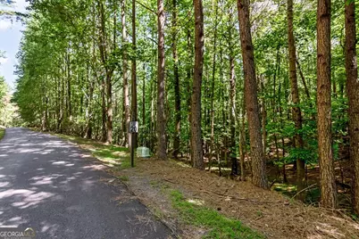 Lot 26 Estates Drive, Ellijay, GA 30540 - Photo 8