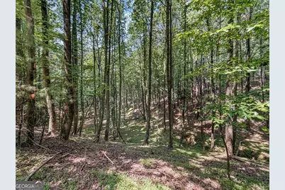 Lot 26 Estates Drive, Ellijay, GA 30540 - Photo 22