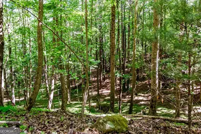Lot 26 Estates Drive, Ellijay, GA 30540 - Photo 16