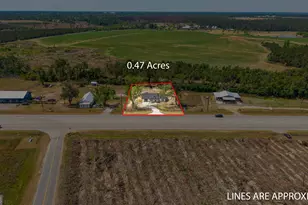 479 Lumber City Hwy, Hazlehurst, GA 31539 - Photo 6