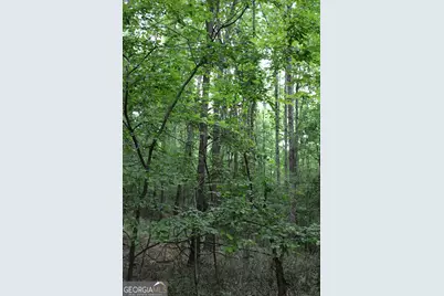1 Mount Moriah Road, Auburn, GA 30011 - Photo 26