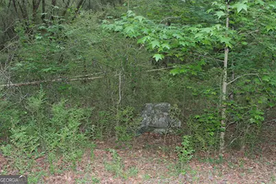 1 Mount Moriah Road, Auburn, GA 30011 - Photo 16
