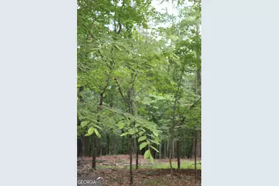 1 Mount Moriah Road, Auburn, GA 30011 - Photo 4