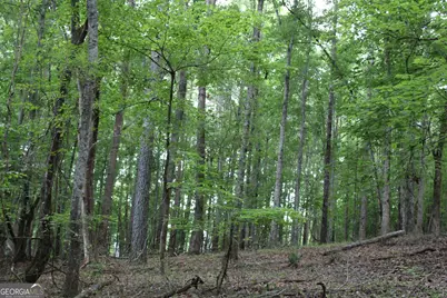 1 Mount Moriah Road, Auburn, GA 30011 - Photo 28