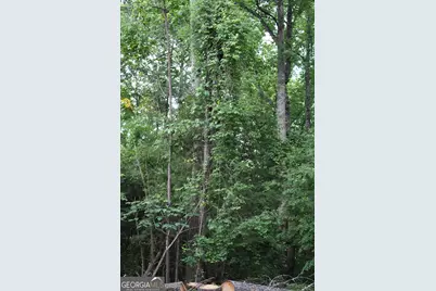 1 Mount Moriah Road, Auburn, GA 30011 - Photo 32