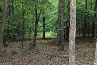 1 Mount Moriah Road, Auburn, GA 30011 - Photo 12