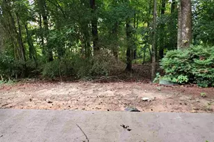 2654 Ridge Run Tr, Duluth, GA 30097 - Photo 38