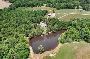 454 Tom Bell Rd, Milner, GA 30257 - Photo 50