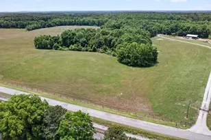 454 Tom Bell Rd, Milner, GA 30257 - Photo 4