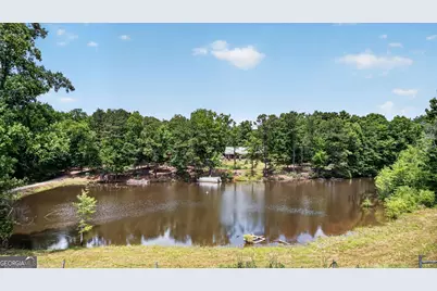 454 Tom Bell Road, Milner, GA 30257 - Photo 4