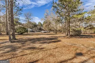 128 William Smith Ln NE, Ludowici, GA 31316 - Photo 10