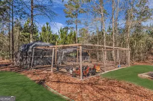 128 William Smith Ln NE, Ludowici, GA 31316 - Photo 46