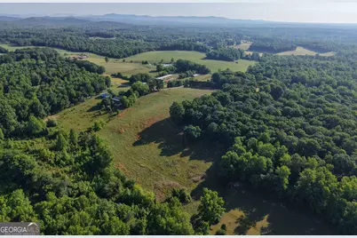 0 Jim Thomas Road, Demorest, GA 30535 - Photo 10
