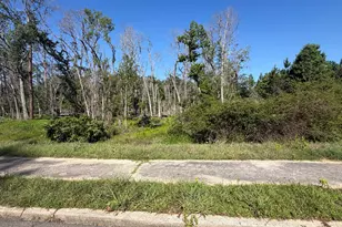 0 N Third North St, Soperton, GA 30457 - Photo 1