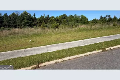 0 N Third North Street, Soperton, GA 30457 - Photo 6