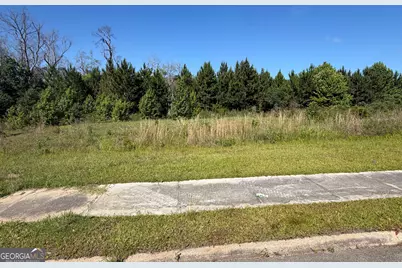 0 N Third North Street, Soperton, GA 30457 - Photo 4