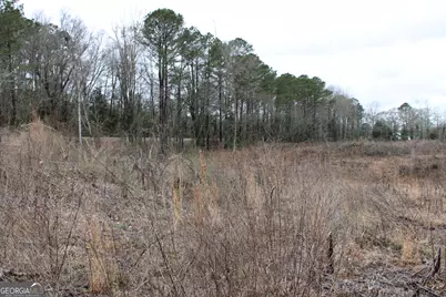 1262 Highway 16 E, Jackson, GA 30233 - Photo 8