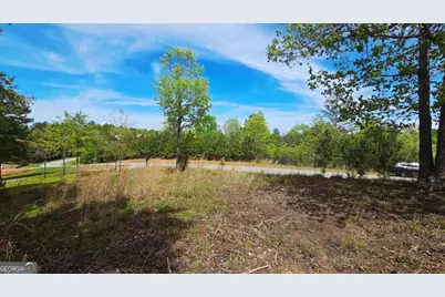 Lot 48 Water Oak Lane, Blairsville, GA 30512 - Photo 6