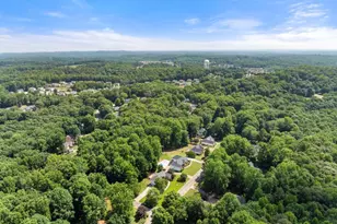 207 Nugget Trail, Braselton, GA 30517 - Photo 54