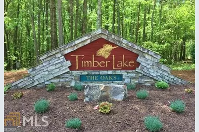 285 Inverness Shores Drive, Fayetteville, GA 30215 - Photo 74