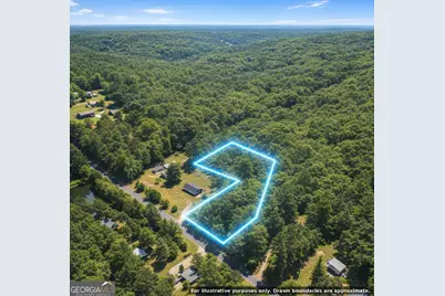 0 Harry Arnold Road, Monroe, GA 30655 - Photo 10