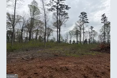 0 Hwy 100, Franklin, GA 30217 - Photo 28