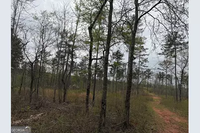 0 Hwy 100, Franklin, GA 30217 - Photo 34