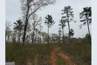 0 Hwy 100, Franklin, GA 30217 - Photo 40