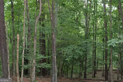 3 Mount Moriah Road, Auburn, GA 30011 - Photo 6