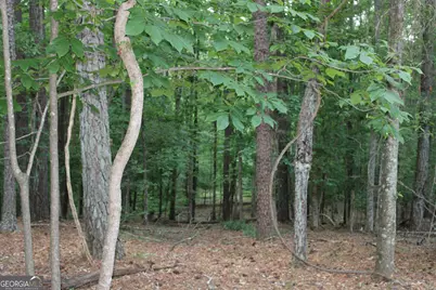 3 Mount Moriah Road, Auburn, GA 30011 - Photo 4