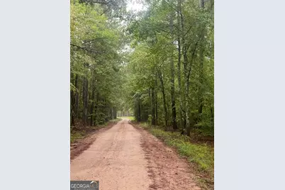 3 Smith Rocky Branch Road, Carlton, GA 30627 - Photo 12