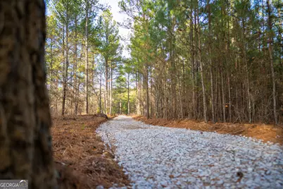3 Smith Rocky Branch Road, Carlton, GA 30627 - Photo 1