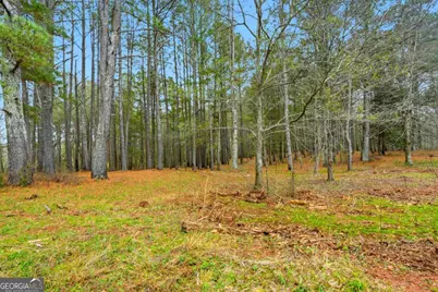 1295 Double Bridge Road, Winder, GA 30680 - Photo 52