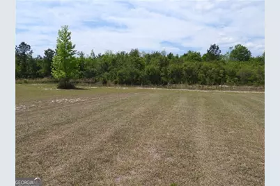 5915 Rye Patch Road, Ludowici, GA 31316 - Photo 22