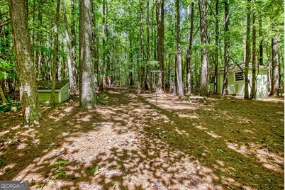 175 Ashley Creek Drive, Newnan, GA 30263 - Photo 44