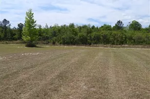 430 Summerhill Dr, Ludowici, GA 31316 - Photo 4