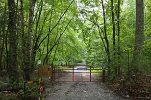 214 Sourwood Dr, Blue Ridge, GA 30513 - Photo 42
