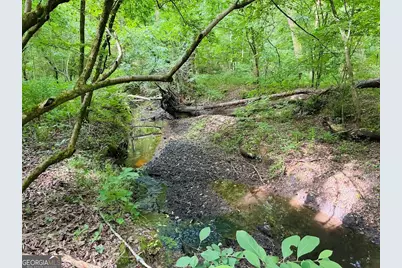 0 Caldwell Road #TRACT B1, Gay, GA 30218 - Photo 22