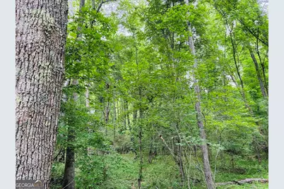 0 Caldwell Road #TRACT B1, Gay, GA 30218 - Photo 34