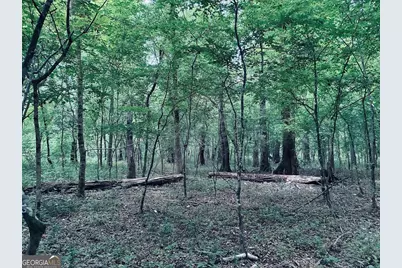 0 Caldwell Road #TRACT B1, Gay, GA 30218 - Photo 12