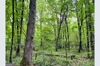 0 Caldwell Road #TRACT B1, Gay, GA 30218 - Photo 10