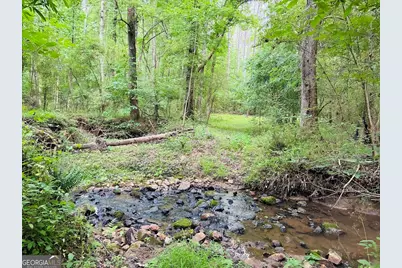 0 Caldwell Road #TRACT B1, Gay, GA 30218 - Photo 2
